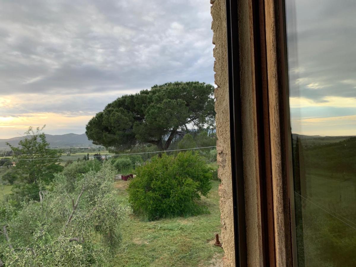 Operaviva Villa Suvereto Eksteriør billede