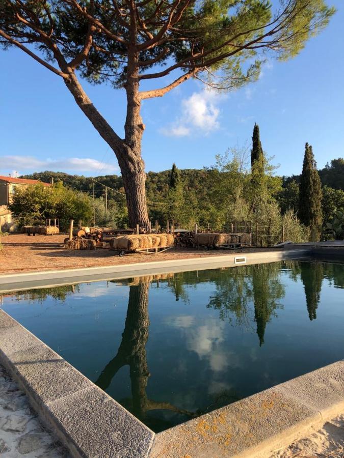 Operaviva Villa Suvereto Eksteriør billede